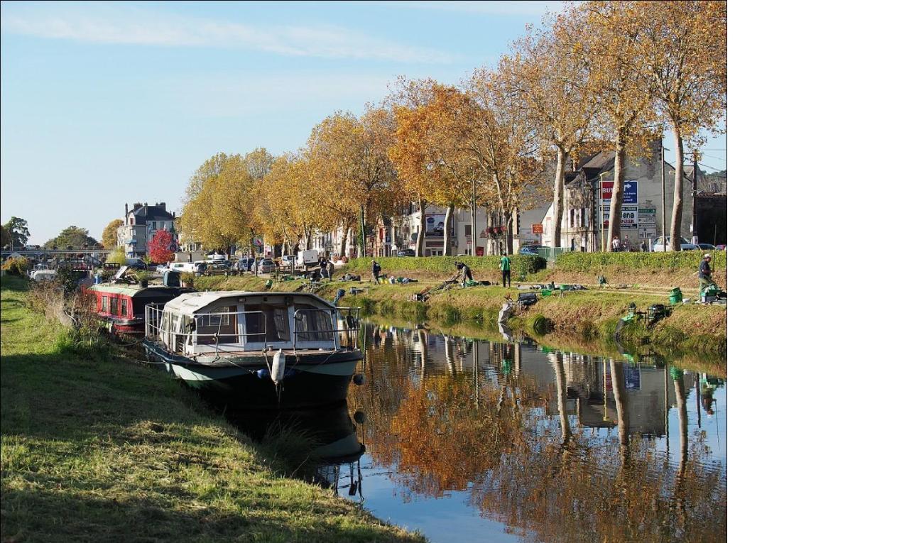 Spacieux T3 Lumineux Dans Quartier Historique Avec Wifi ルドン エクステリア 写真
